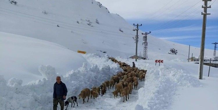 Yaylada koyunlarıyla birlikte 3 gün mahsur kalan çobanı belediye ekipleri kurtardı