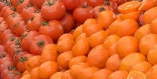 İstanbullular 2022'de en çok domates ve portakal tüketti