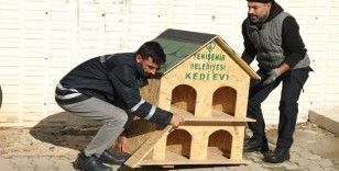 Yenişehir'e 200 kedi ve köpek evi