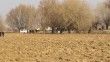 Iğdır'da kayıp genç boş arazide ölü olarak bulundu