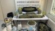 Kartal'da uyuşturucu serasına çevrilen evde 10 kilo marihuana ele geçirildi