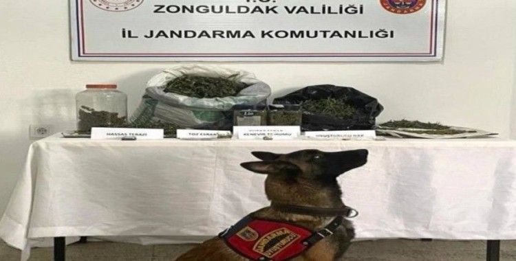 Ereğli'de uyuşturucu operasyonu:1 gözaltı
