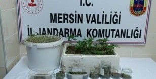 Mersin'de uyuşturucu operasyonu: 1 tutuklu