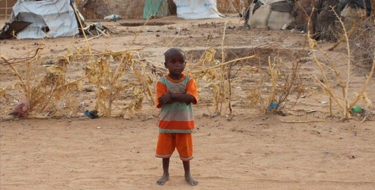 9 milyar insanı besleme potansiyeline sahip Afrika'da 278 milyon kişi aç