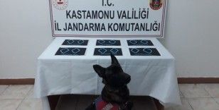 Kastamonu'da uyuşturucu operasyonu: 6 tutuklama
