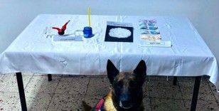 Narkotik köpek ‘Kont’ destekli uyuşturucu operasyonu