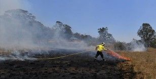 Avustralya'daki yangınlarda 2 bin hektardan fazla ormanlık alan yandı