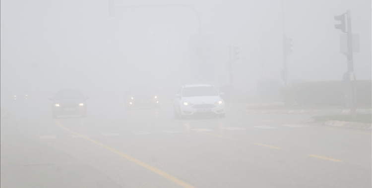 Sakarya'da sis etkili oluyor