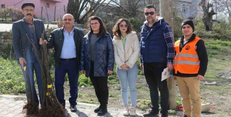 Atakum’da çiftçiye 1000 incir fidanı desteği
