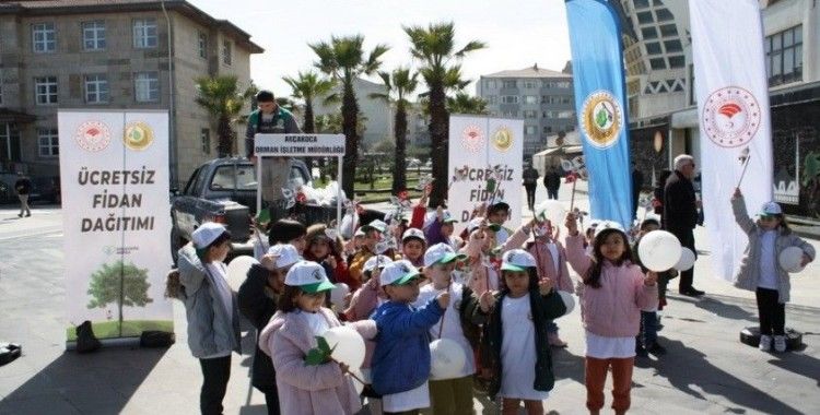 Orman dostlarına rüzgar gülü
