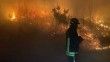 İtalya'da orman yangını: Alevler evlere yaklaştı