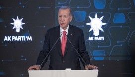 Cumhurbaşkanı Erdoğan: Cumhurbaşkanlığı Hükümet Sistemi'ni Türkiye Yüzyılı hedeflerine göre restore edeceğiz