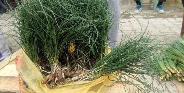 Vatandaşlar zuzubak otunun coğrafi işaretle tescillenmesini istiyor