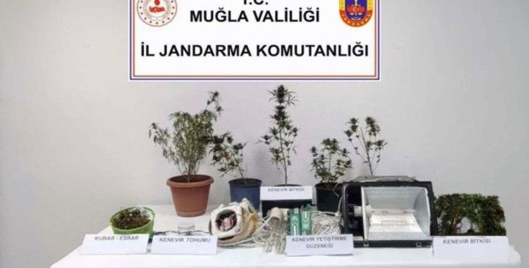 Bodrum, Milas ve Seydikemer'de uyuşturucu operasyonu