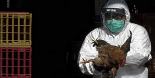Brezilya’da kuş gribi alarmı