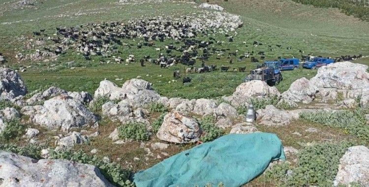 Karaman’da bir kadın eşi ve kendisini darp eden kayınbiraderini bıçaklayarak öldürdü
