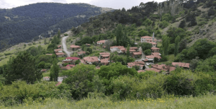 Bu köyde sandıktaki tüm oylar Cumhurbaşkanı Erdoğan'a çıktı
