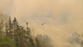 Kanada'da orman yangınlarıyla mücadele için ordu görevlendirildi
