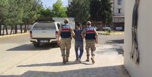 Diyarbakır'da firari hükümlü jandarma ekipleri tarafından yakalandı