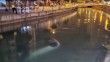 Adana’da virajı alamayan otomobil sulama kanalı düştü: 3 yaralı
