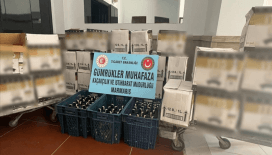 Bodrum'da 2 bin 199 şişe sahte içki ele geçirildi