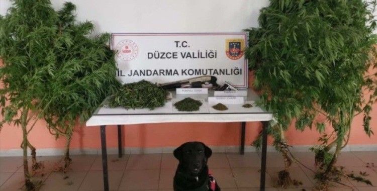 Uyuşturucu imal edilen eve jandarma operasyonu
