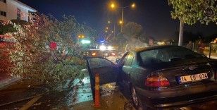 Aracıyla çarptığı orta refüjdeki ağacı gövdesinden kırdı: 1 yaralı

