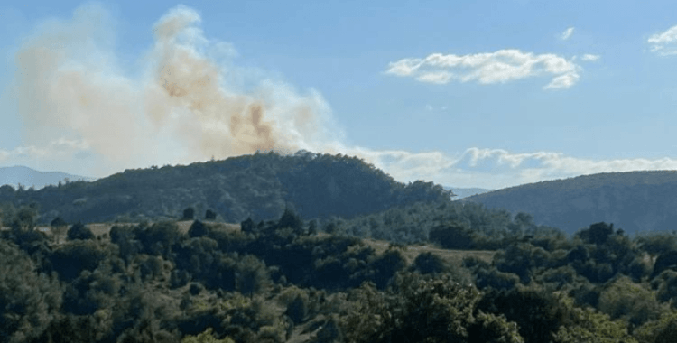Bilecik'teki orman yangını kontrol altına alındı