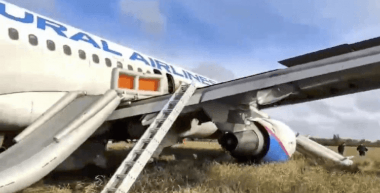 Rusya'da 167 kişiyi taşıyan yolcu uçağı tarlaya acil iniş yaptı