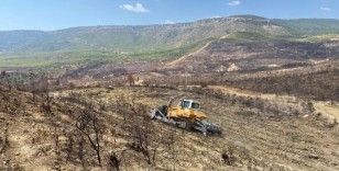 Gülnar’da yanan ormanlık alanlarda ağaçlandırma çalışmalarına başlandı
