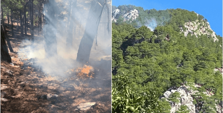 Muğla'nın Köyceğiz ilçesinde orman yangını çıktı