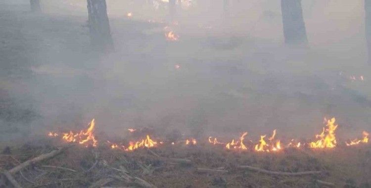 Feke de orman yangını
