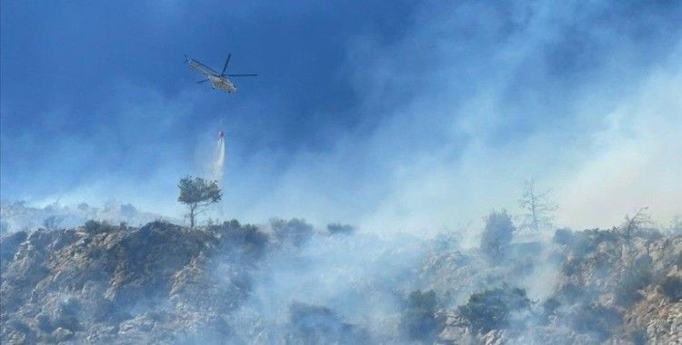 Aydın'da ağaçlık alanda çıkan yangına müdahale ediliyor