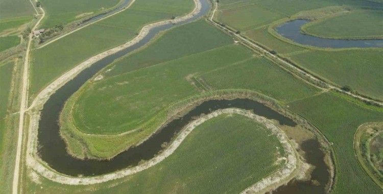 Söke Ovası’nda yatak temizleme çalışmalarına devam ediliyor
