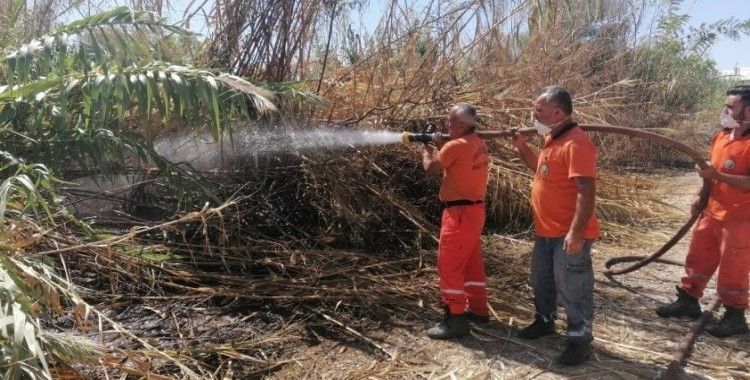 Antalya’da sazlık yangınına havadan ve karadan hızlı müdahale
