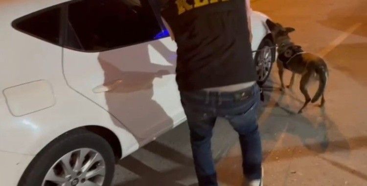 Narkotik köpekleri yerini gösterdi, zulalanmış uyuşturucular yakalandı
