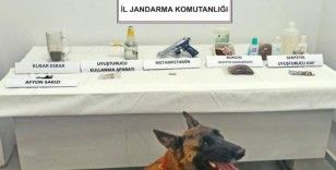 Jandarma narkotik köpeği ‘Limon’ ilk operasyonunda tespit etti
