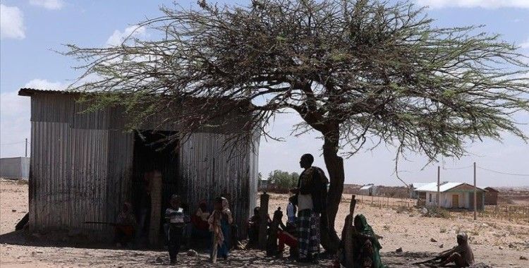 BM: 783 milyon kişi gıdaya erişimde sorun yaşıyor, 47 milyon insan açlığın eşiğinde