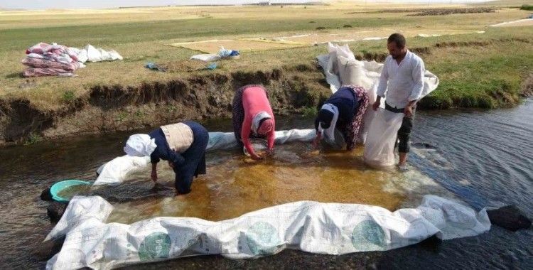 Buğdayın tarladan değirmene yolculuğu
