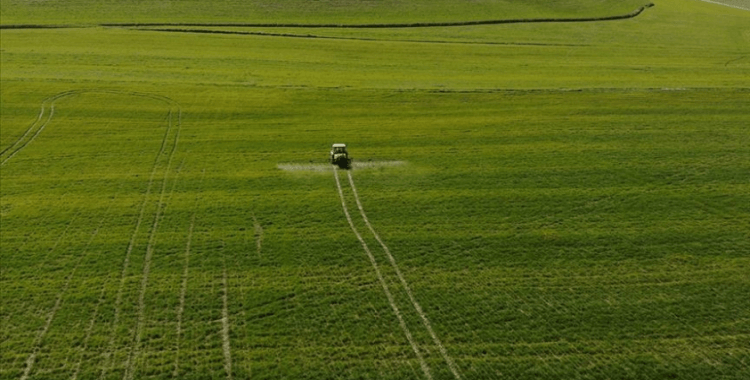 Tarım ÜFE ağustosta aylık bazda yüzde 3,83, yıllık yüzde 76,35 arttı