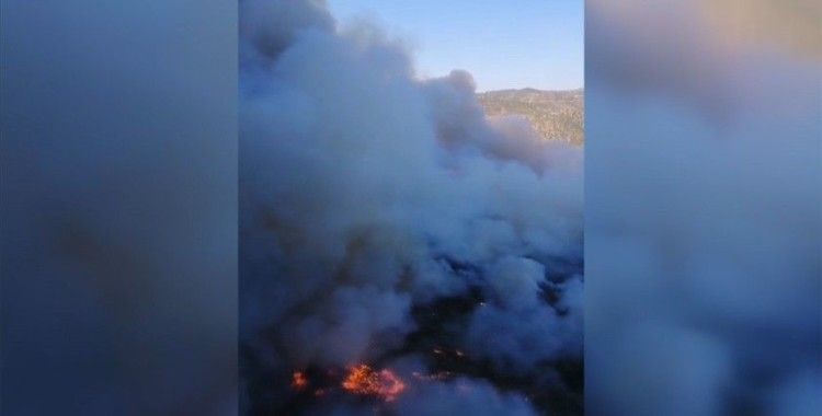 İzmir'in Menderes ilçesinde orman yangını çıktı