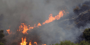 Cezayir’de 11 kentte 18 ayrı orman yangınını söndürme çalışmaları devam ediyor