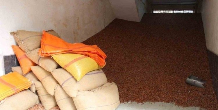 Serbest piyasada fındık 100 TL’ye ulaştı
