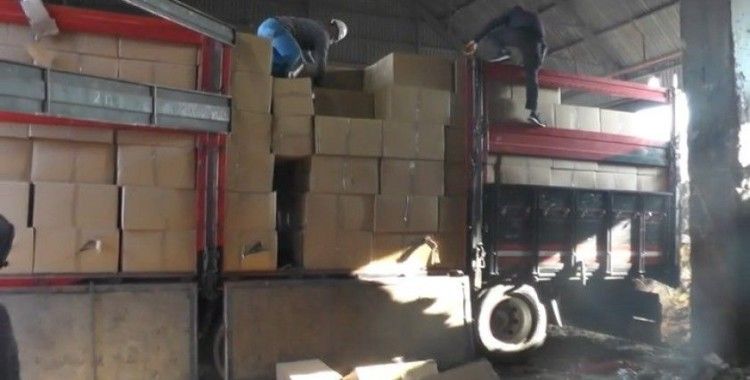 Bolu’da 12 milyon 770 bin makaron ele geçirildi
