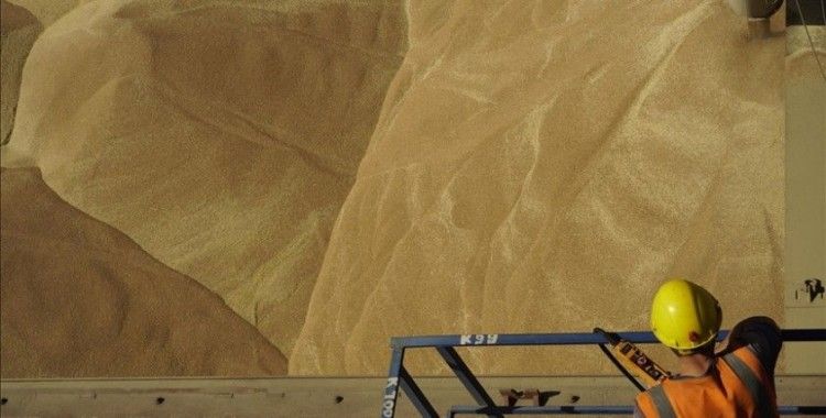 Ukrayna, Kenya'ya tahıl merkezi kuracak