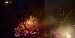 Karabük'teki orman yangınına müdahale sürüyor