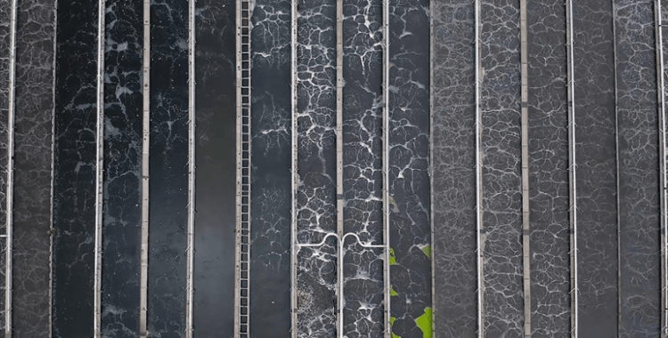 Sıfır Atık Vakfı kuruldu