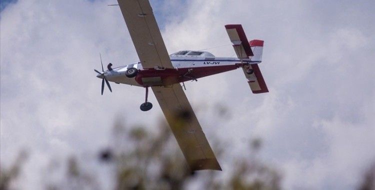 Cezayir Sivil Savunma Başkanlığı: Tüm orman yangınları söndürüldü