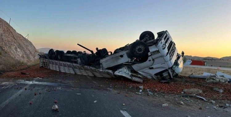 Kontrolden çıkan domates yüklü tır yol ortasına devrildi
