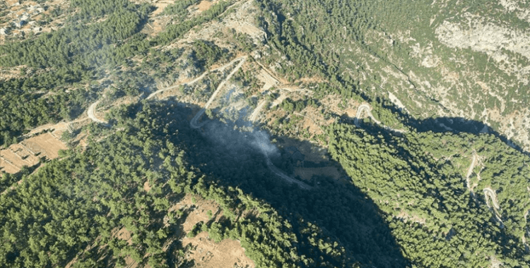 Muğla'da çıkan orman yangınına müdahale ediliyor